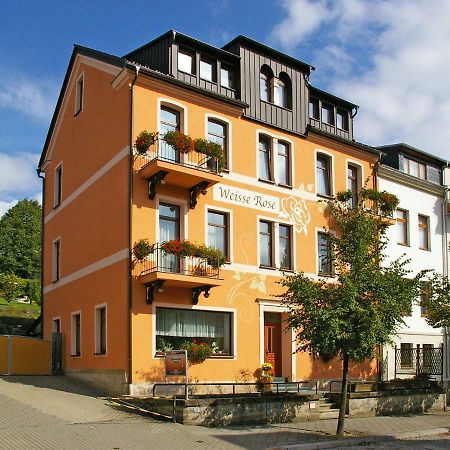 Pension Weisse Rose, Parkplatz, Fruehstueck, Wlan, Zentral Бад-Ельстер Екстер'єр фото