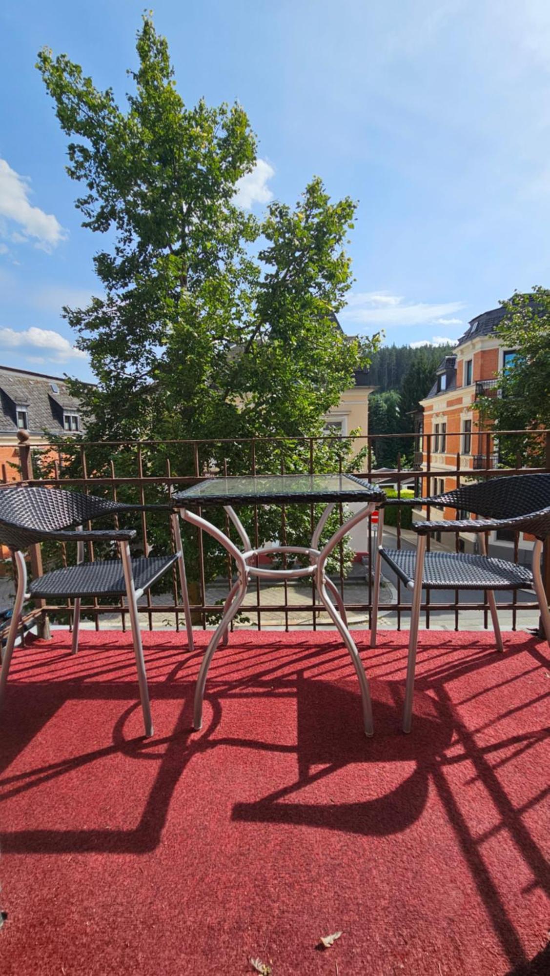 Pension Weisse Rose, Parkplatz, Fruehstueck, Wlan, Zentral Бад-Ельстер Екстер'єр фото