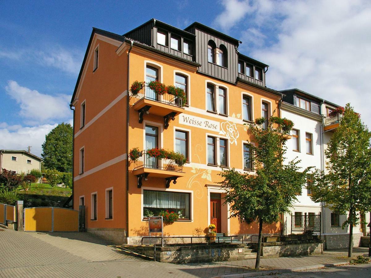 Pension Weisse Rose, Parkplatz, Fruehstueck, Wlan, Zentral Бад-Ельстер Екстер'єр фото