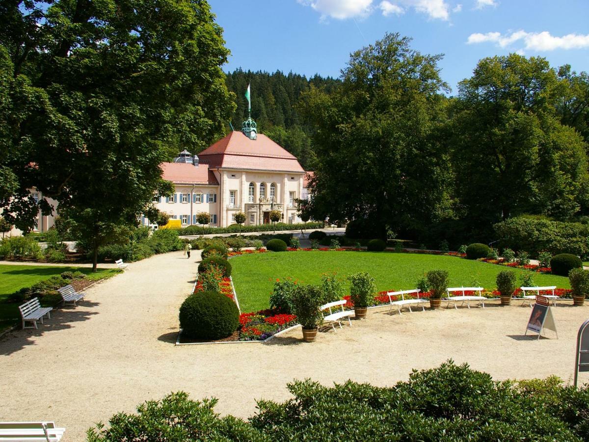 Pension Weisse Rose, Parkplatz, Fruehstueck, Wlan, Zentral Бад-Ельстер Екстер'єр фото